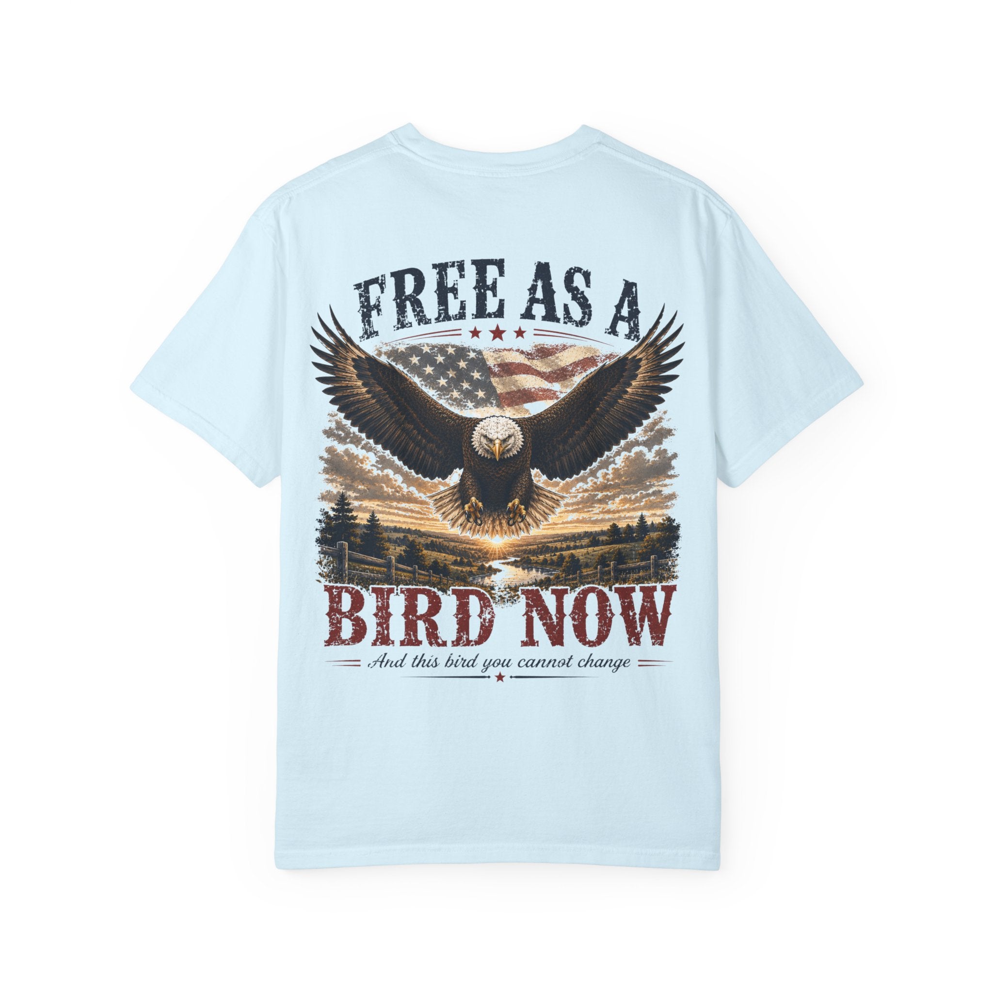Free As A Bird — Vintage Americana Eagle Tee