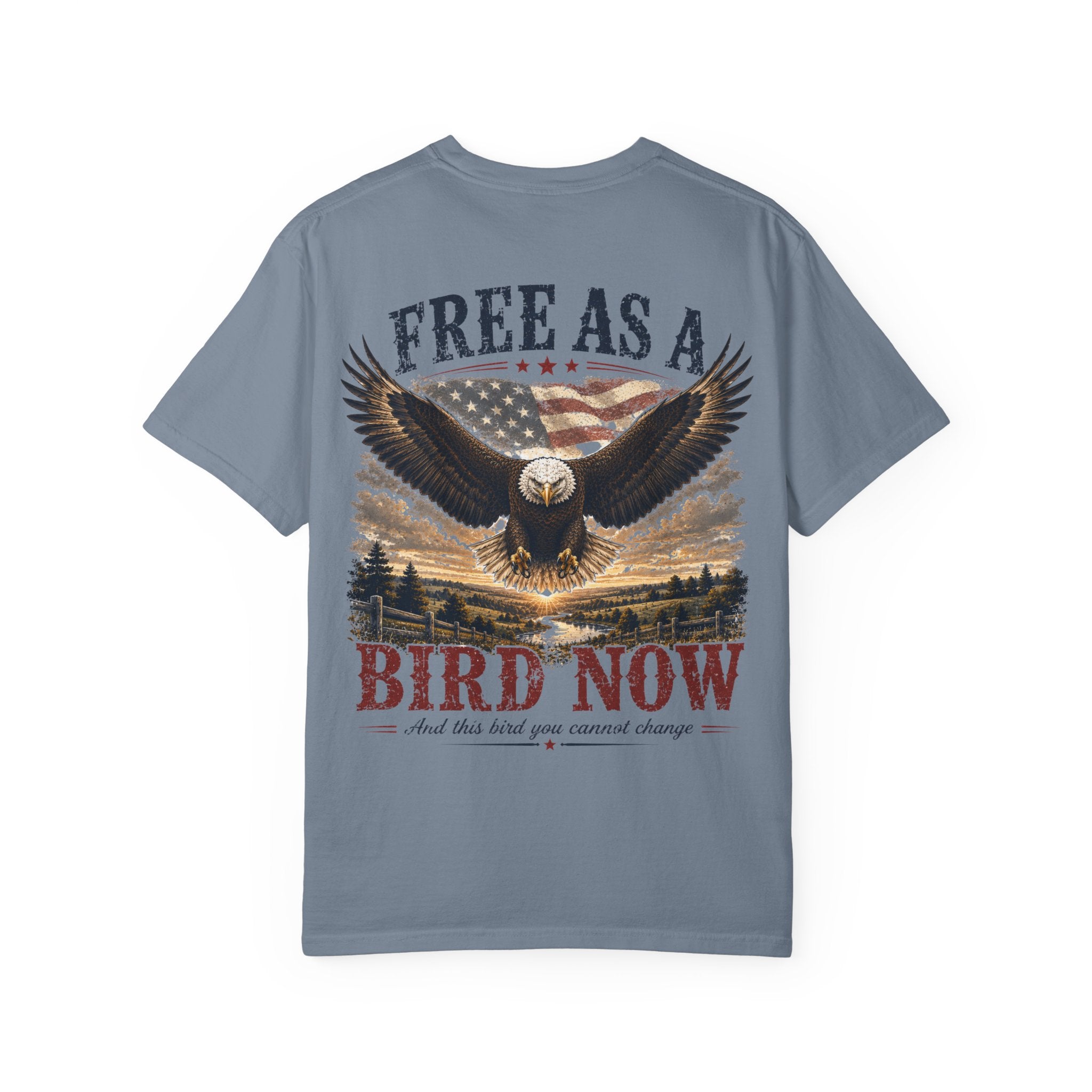 Free As A Bird — Vintage Americana Eagle Tee
