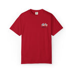Freedom 250 Embroidered Flag Tee